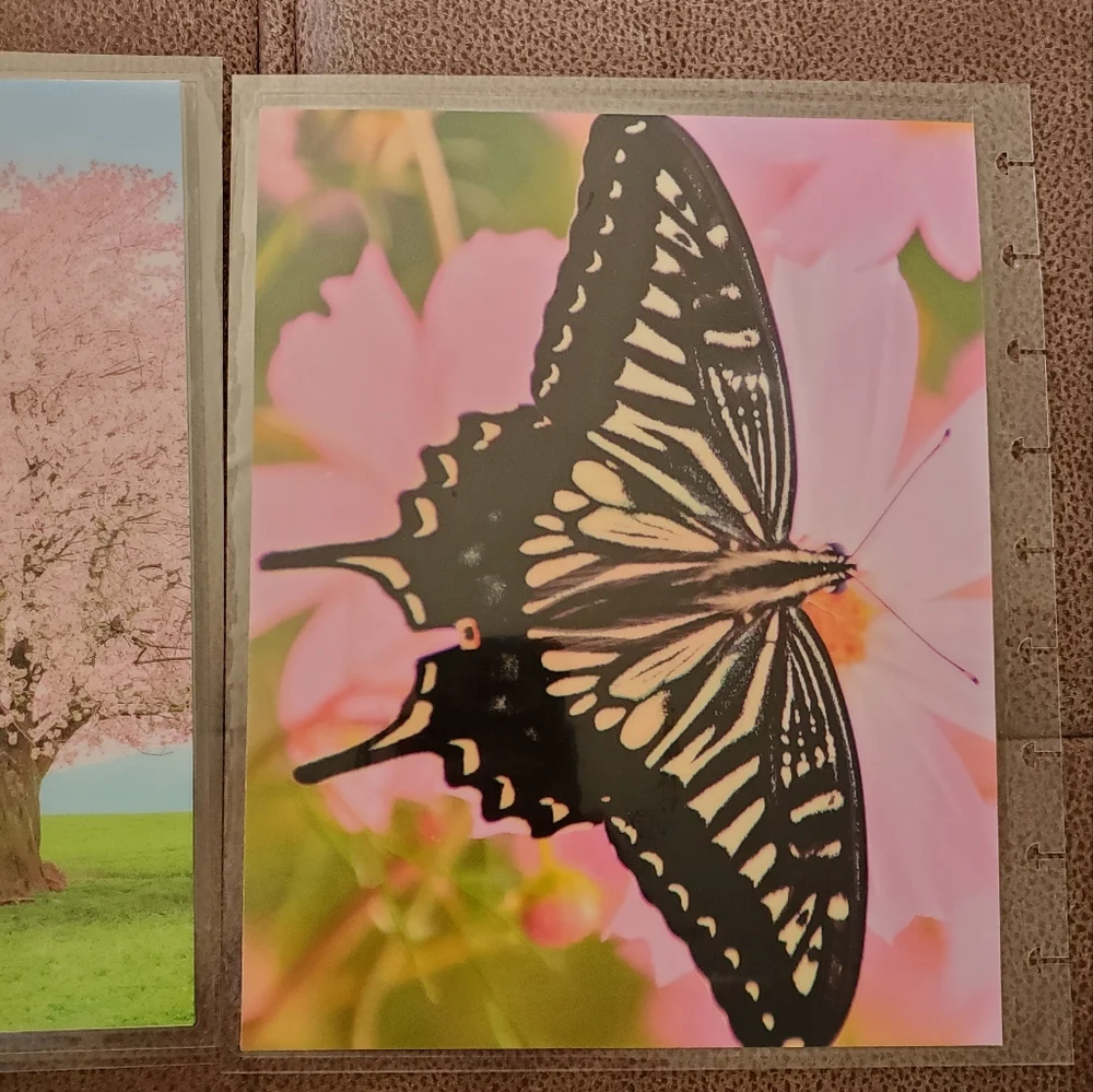 Hand Made cover For A Classic Sized Disc Bound Planner Psalm 31:24 cherry tree